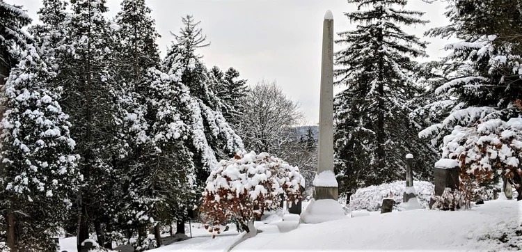 Evergreen Cemetery in Winter The